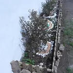 Murera