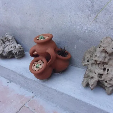 Murera ベッド・アンド・ブレックファスト *